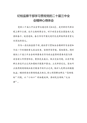 纪检监察干部学习贯彻党的二十届三中全会精神心得体会范本.docx