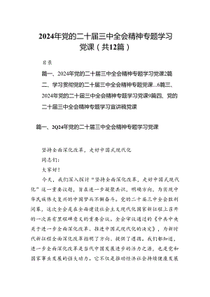 （12篇）2024年党的二十届三中全会精神专题学习党课最新.docx