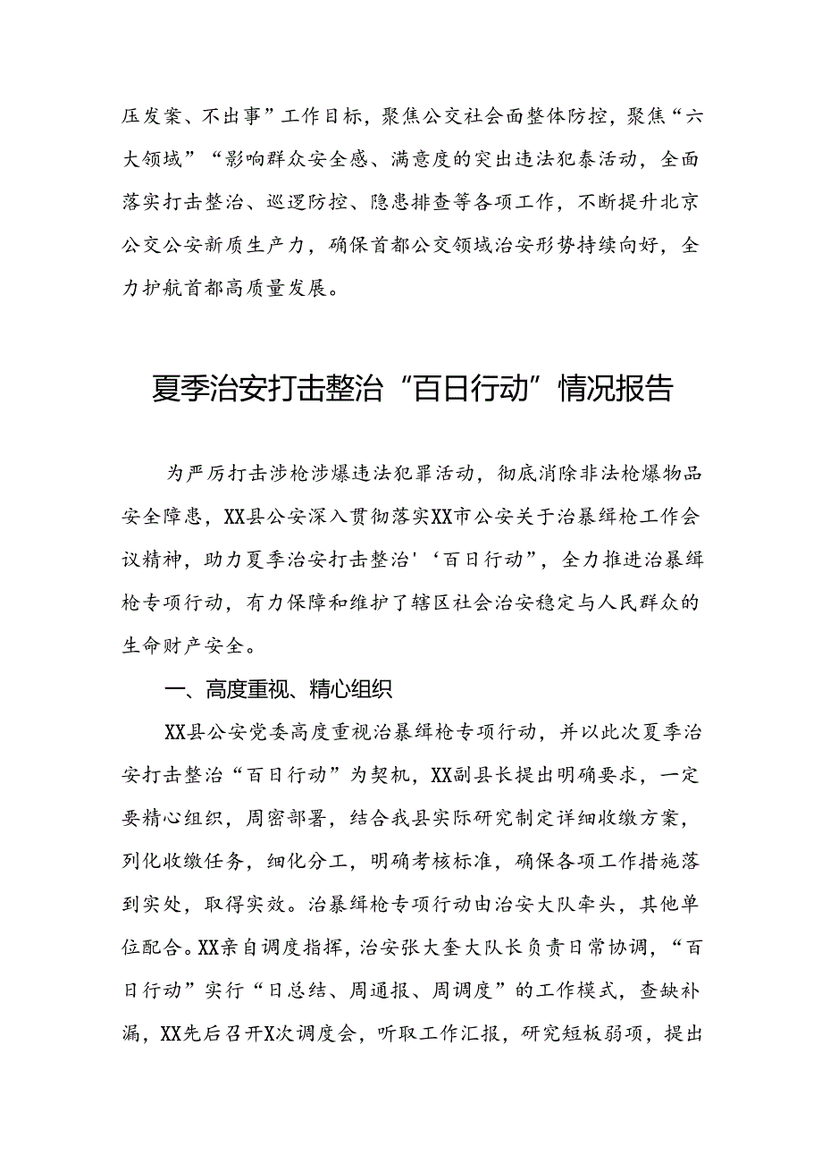 派出所2024年公安夏季治安打击整治行动情况汇报6篇.docx_第3页