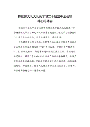 特巡警大队大队长学习二十届三中全会精神心得体会.docx