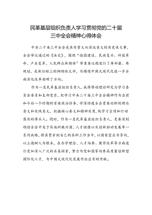 民革基层组织负责人学习贯彻党的二十届三中全会精神心得体会.docx