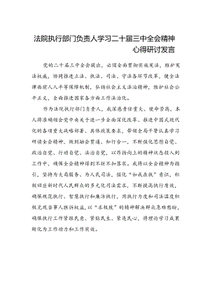 法院执行部门负责人学习二十届三中全会精神心得研讨发言.docx