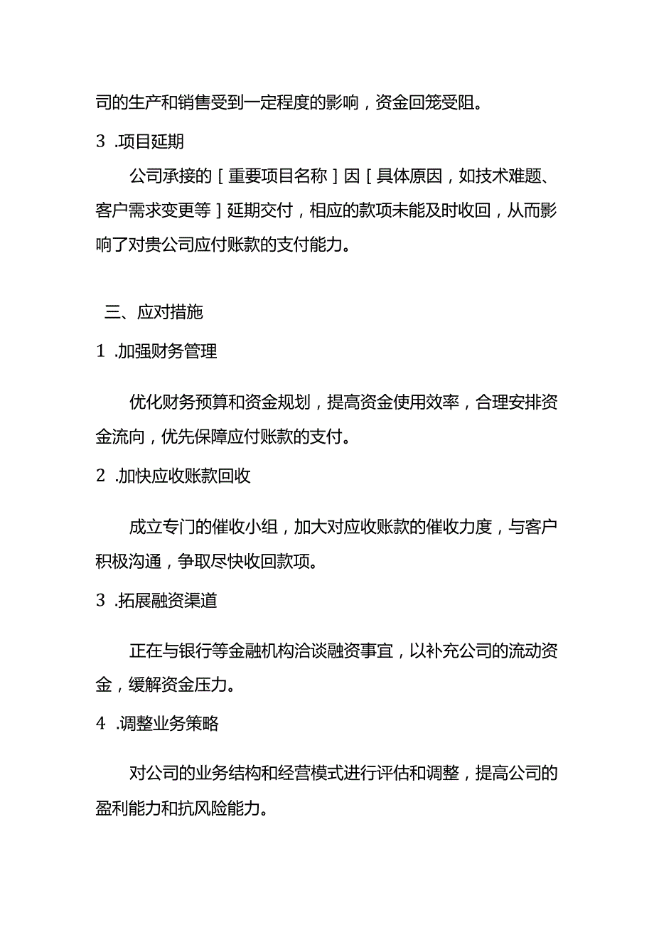 应付账款延期付款情况说明.docx_第2页