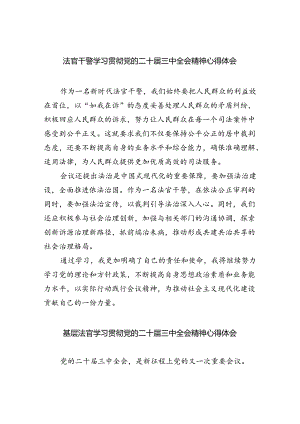 法官干警学习贯彻党的二十届三中全会精神心得体会8篇（精选版）.docx