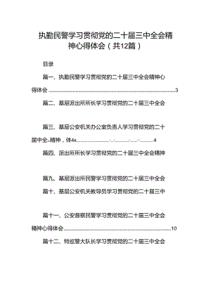 执勤民警学习贯彻党的二十届三中全会精神心得体会12篇（精选）.docx