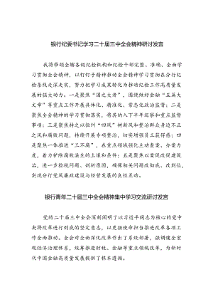 银行纪委书记学习二十届三中全会精神研讨发言8篇（精选版）.docx