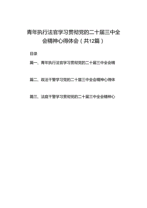 青年执行法官学习贯彻党的二十届三中全会精神心得体会（共12篇）.docx