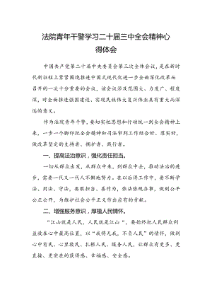 法院青年干警学习二十届三中全会精神心得体会范文.docx