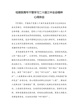 检察院青年干警学习二十届三中全会精神心得体会.docx