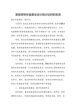 某县领导在省委全会分组讨论时的发言.docx