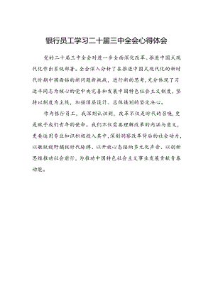 银行员工学习二十届三中全会心得体会.docx