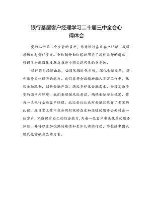 银行基层客户经理学习二十届三中全会心得体会.docx