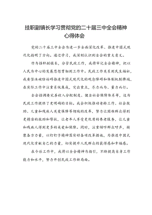 挂职副镇长学习贯彻党的二十届三中全会精神心得体会.docx