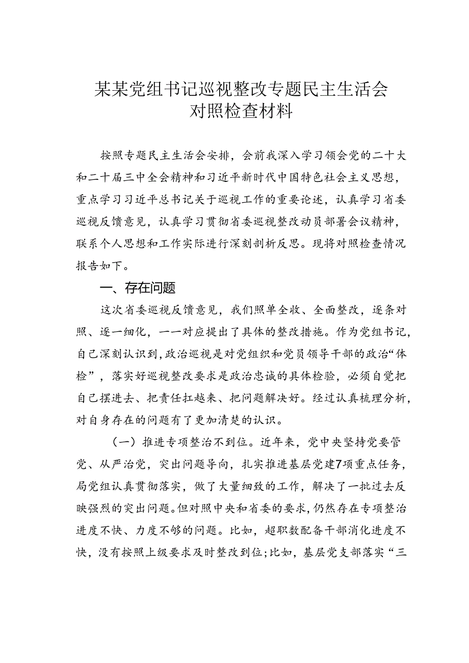 某某党组书记巡视整改专题民主生活会对照检查材料.docx_第1页