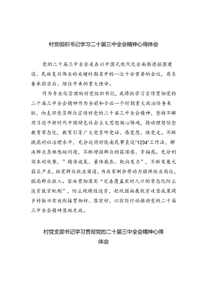 村党组织书记学习二十届三中全会精神心得体会（共8篇）.docx