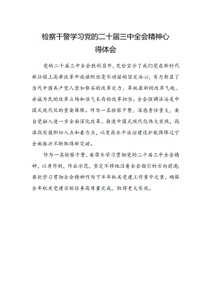 检察干警学习党的二十届三中全会精神心得体会样本.docx