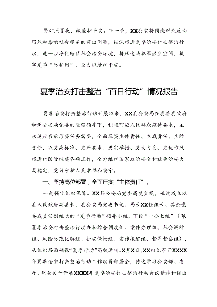 派出所2024年夏季治安打击整治行动总结报告6篇.docx_第3页