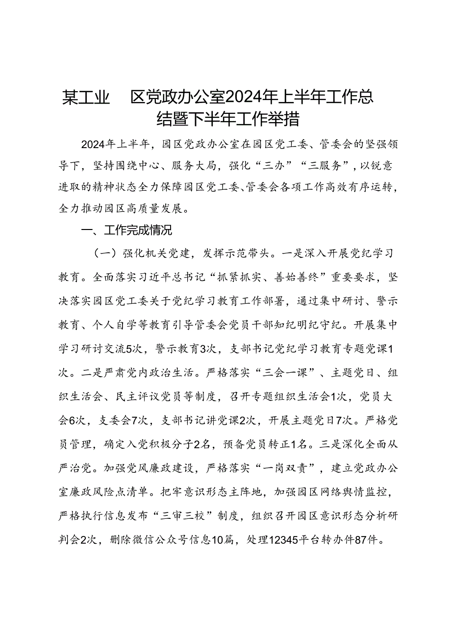 某工业园区党政办公室2024年上半年工作总结暨下半年工作举措.docx_第1页