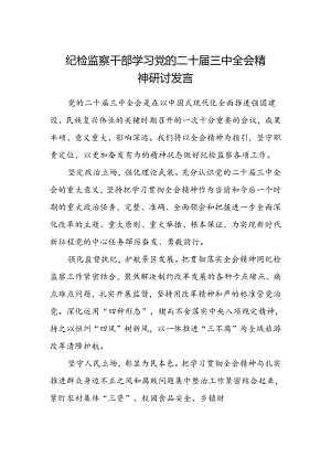 纪检监察干部学习党的二十届三中全会精神研讨发言范文.docx