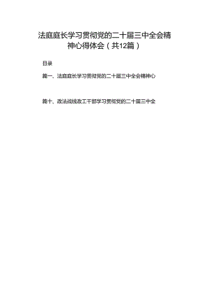 法庭庭长学习贯彻党的二十届三中全会精神心得体会12篇供参考.docx