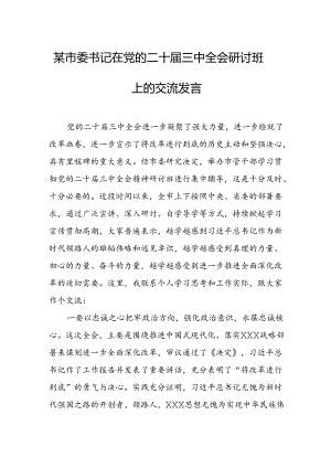 某市委书记在党的二十届三中全会研讨班上的交流发言.docx