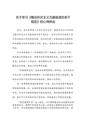 《整治形式主义为基层减负若干规定》心得体会七篇.docx