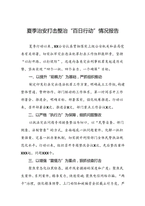 公安夏季治安打击整治专项行动走深走实情况报告(13篇).docx