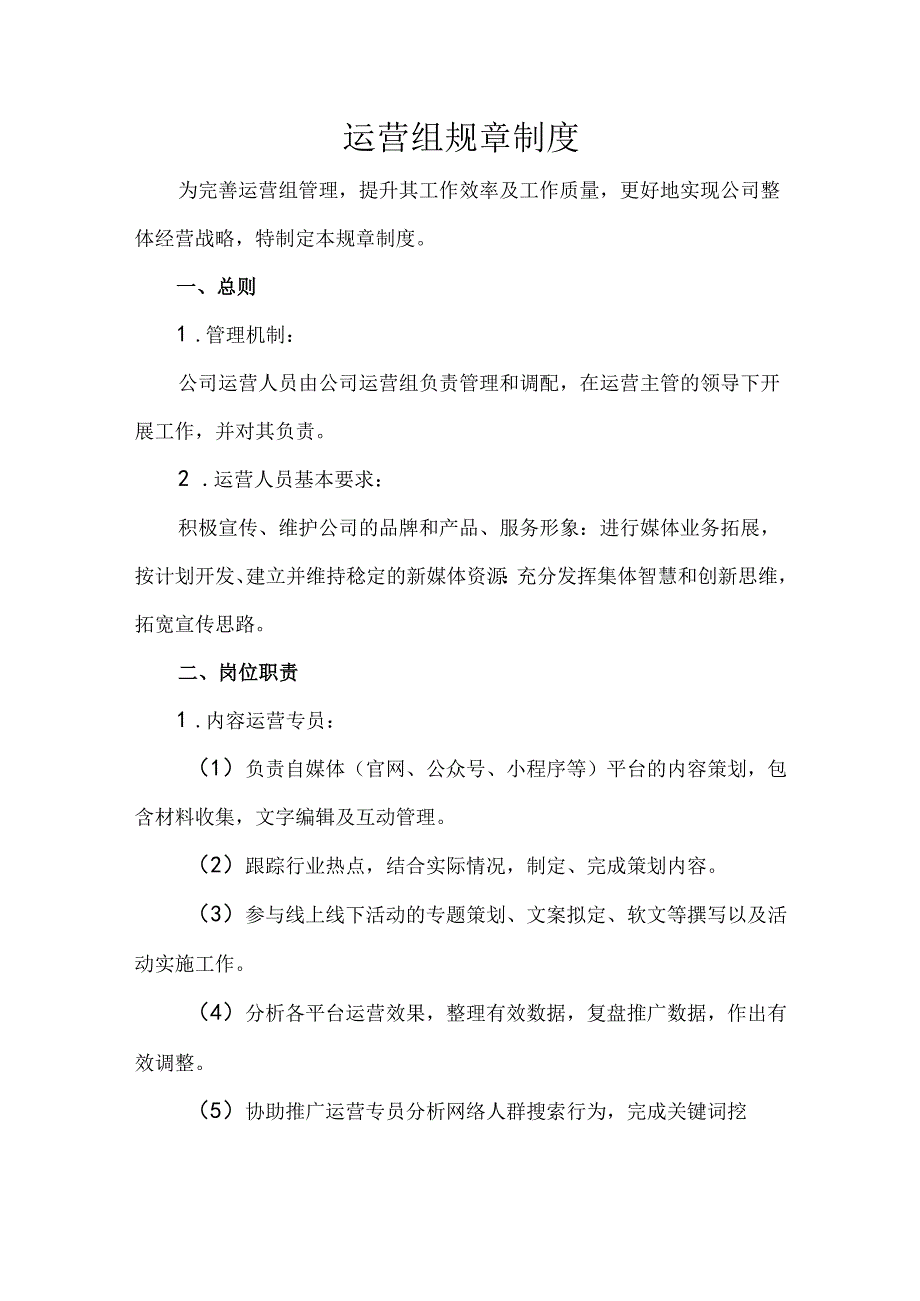 运营组规章制度.docx_第1页