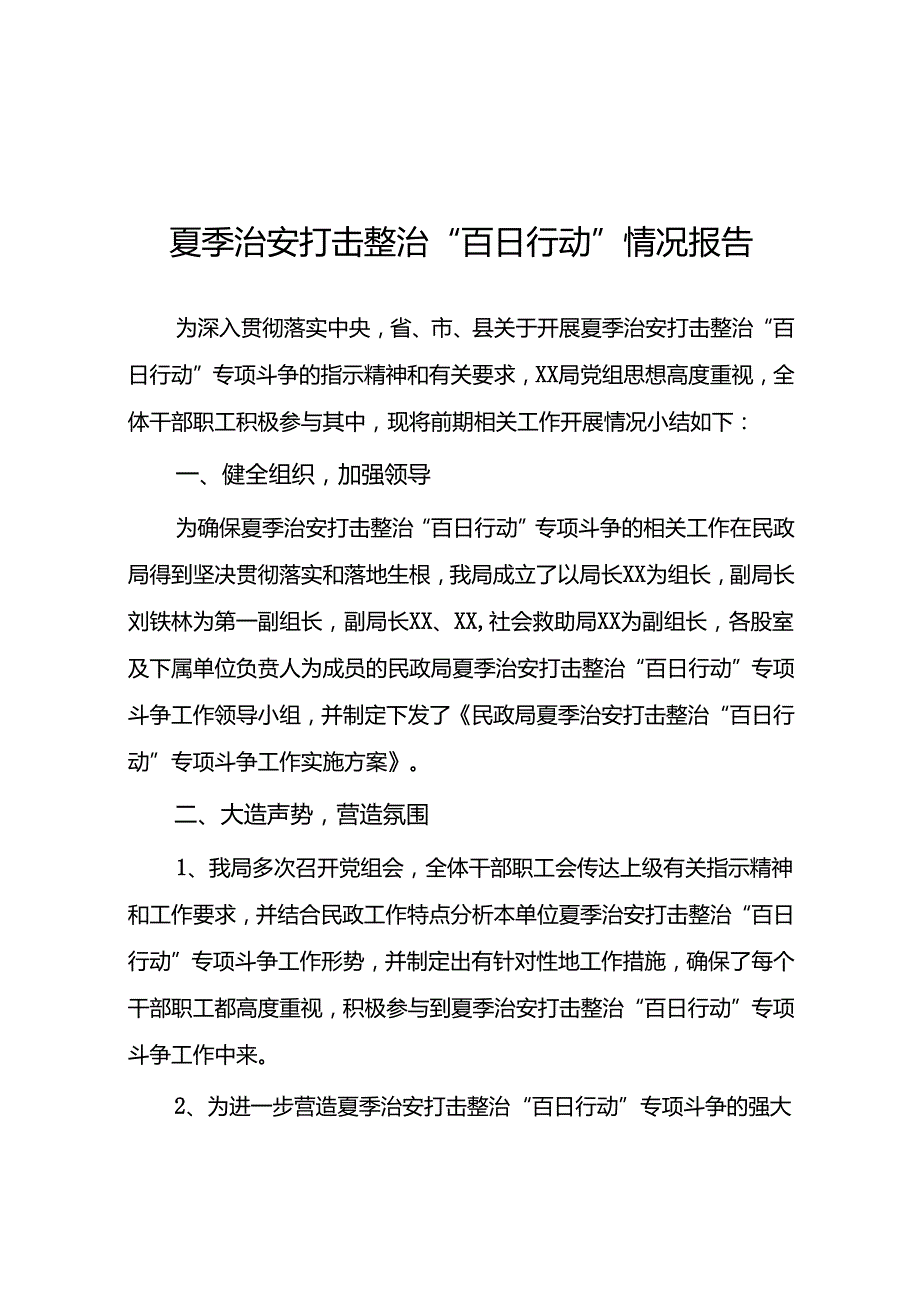 2024开展夏季治安打击整治“百日行动”工作总结(二十五篇).docx_第1页