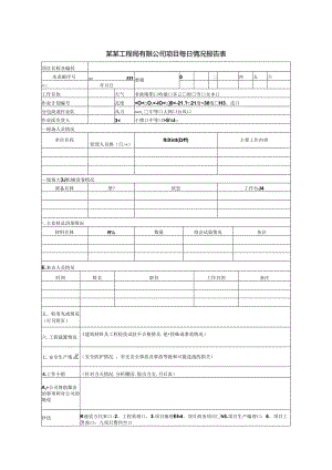 某某工程局有限公司项目每日情况报告表.docx