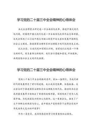 学习党的二十届三中全会精神的心得体会优秀发言三十篇.docx