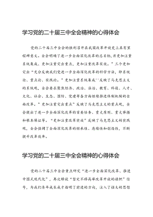 关于二十届三中全会精神学习体会范例四十四篇.docx