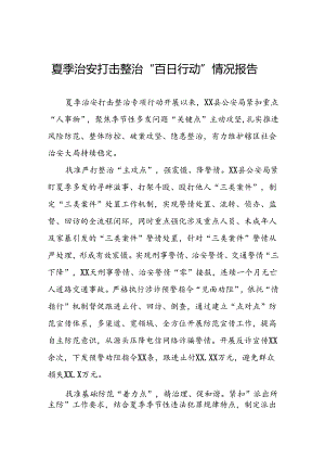 十二篇公安2024年扎实推进夏季治安打击整治专项行动工作汇报.docx