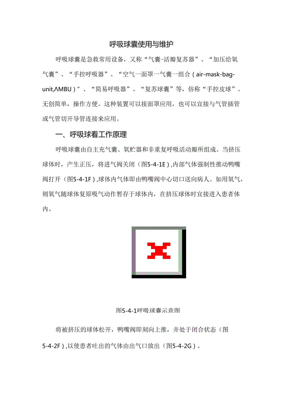 呼吸球囊使用与维护.docx_第1页