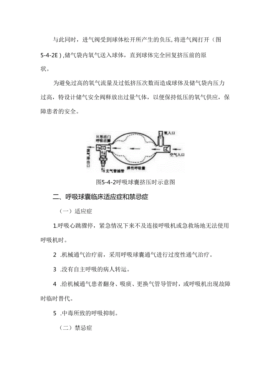 呼吸球囊使用与维护.docx_第2页