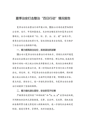 公安夏季治安打击整治行动总结报告2024年十四篇.docx