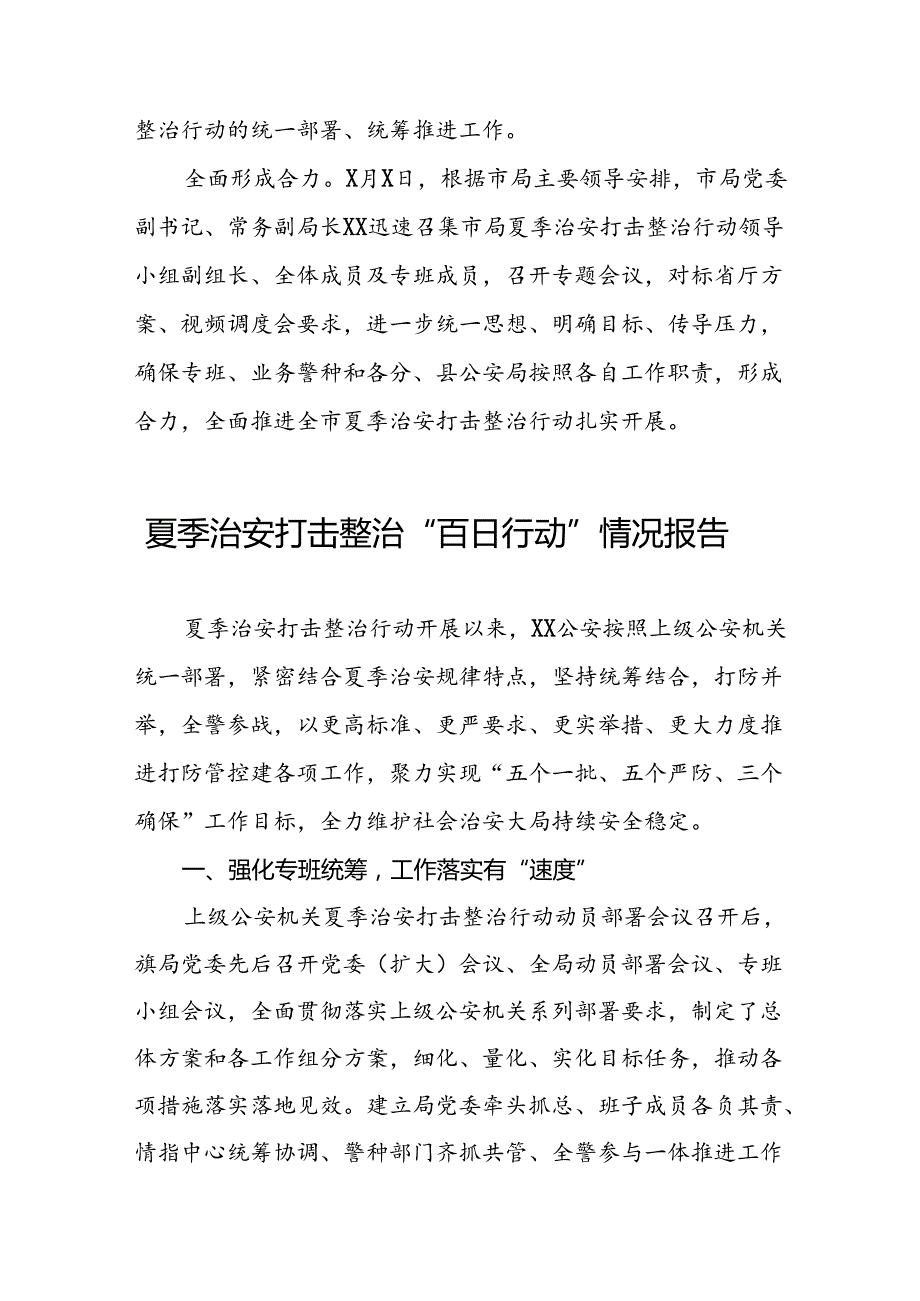 十八篇2024年公安扎实开展夏季治安打击整治行动情况报告.docx_第2页