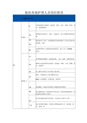 临床各级护理人员岗位职责.docx