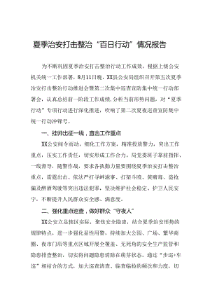 公安深入推进夏季治安打击整治行动情况报告八篇.docx