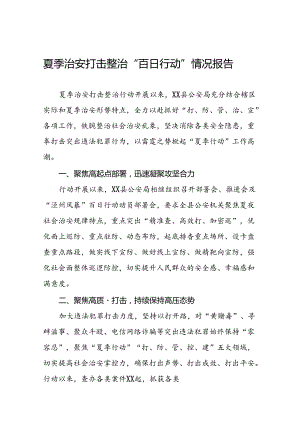 县公安2024夏季治安打击整治行动工作总结19篇.docx