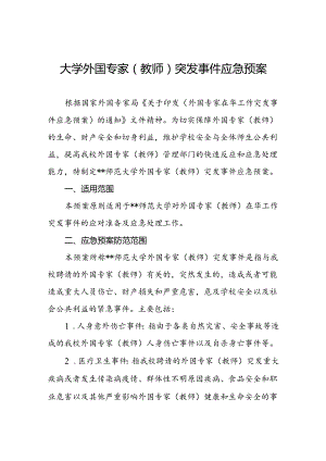 大学外国专家（教师）突发事件应急预案.docx