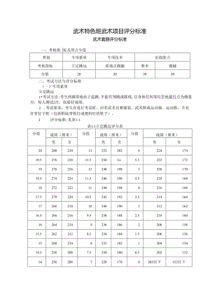 武术特色班武术项目评分标准.docx