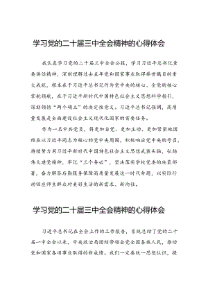 学习党的二十届三中全会精神心得感悟31篇.docx