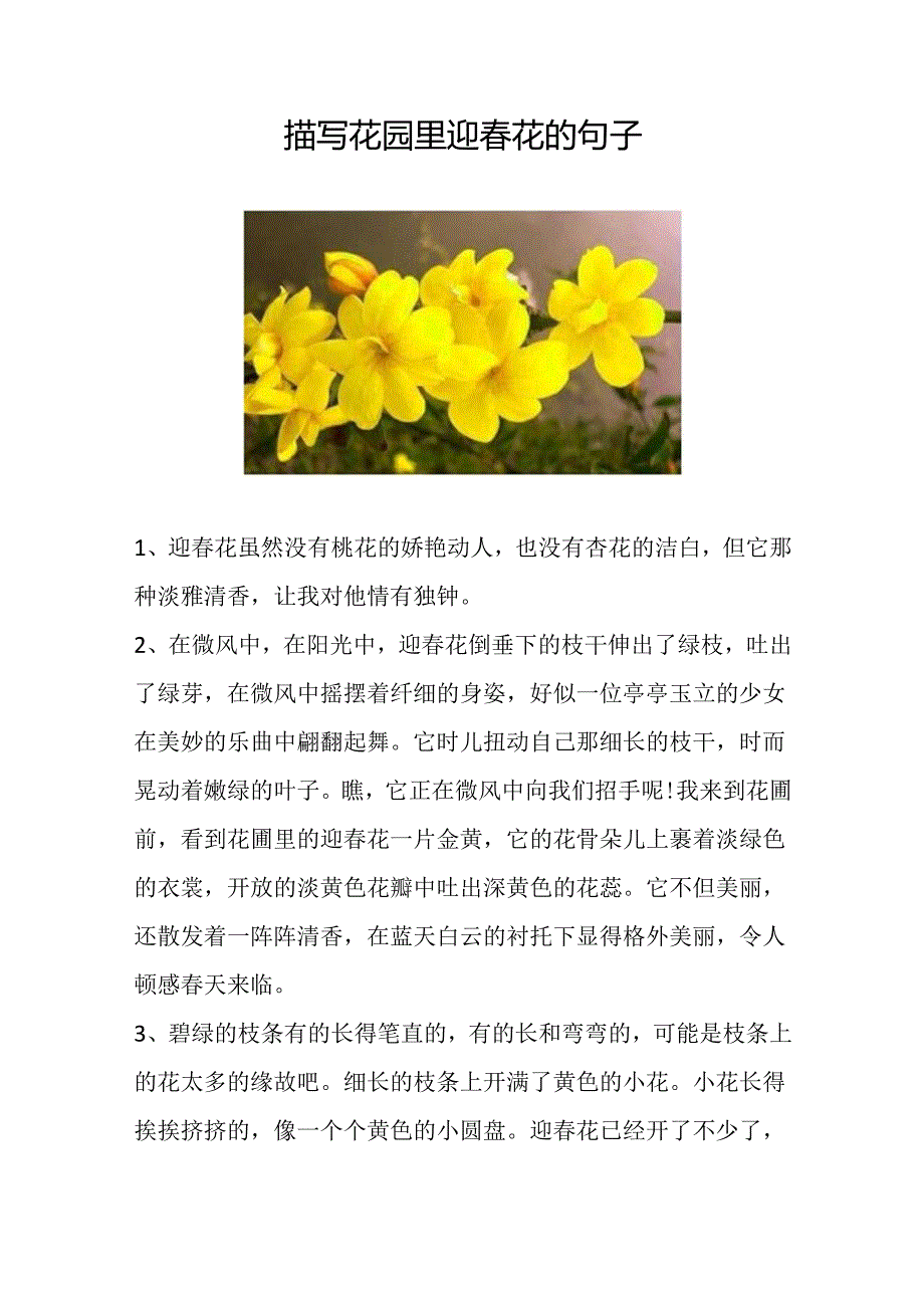 描写花园里迎春花的句子.docx_第1页