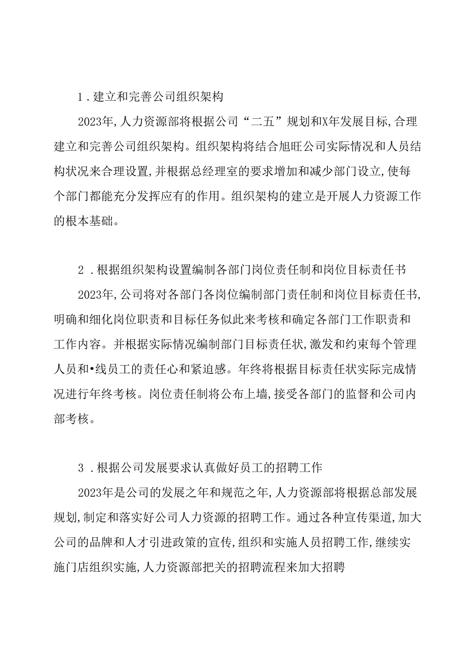 人力资源年度工作计划.docx_第2页