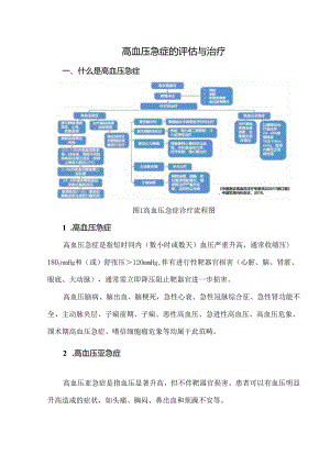 高血压急症的评估与治疗.docx