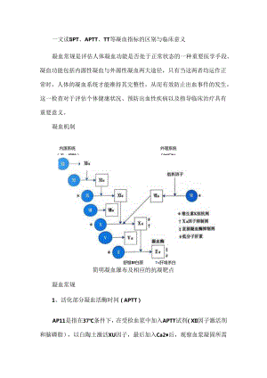 一文读懂PT、APTT、TT等凝血指标的区别与临床意义.docx