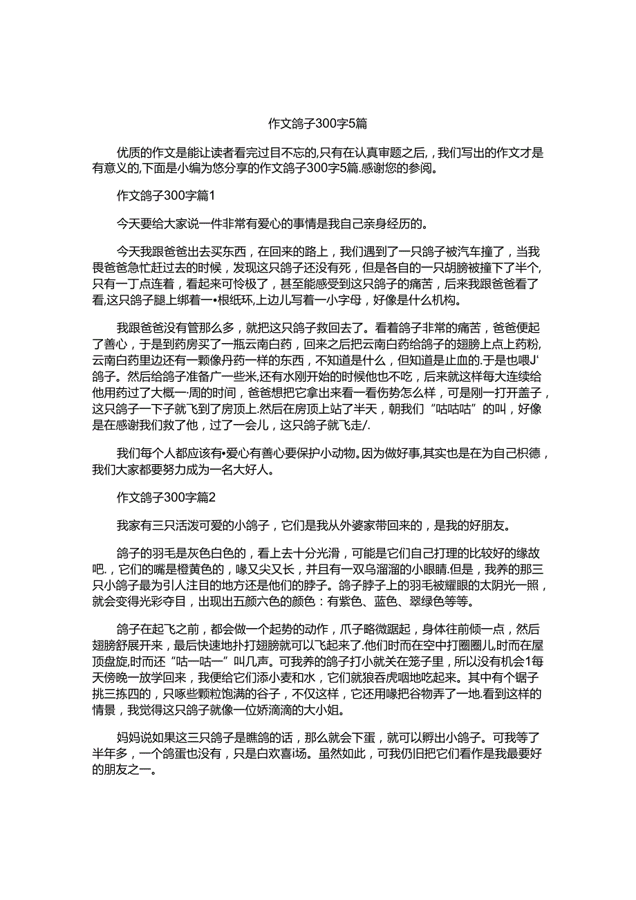 作文鸽子300字5篇.docx_第1页