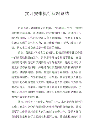 实习计划执行情况总结.docx