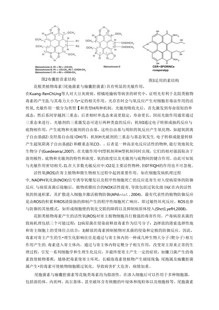 花生疮痂病菌毒素对寄主细胞毒性及其机制研项目可行性研究报告.docx_第3页